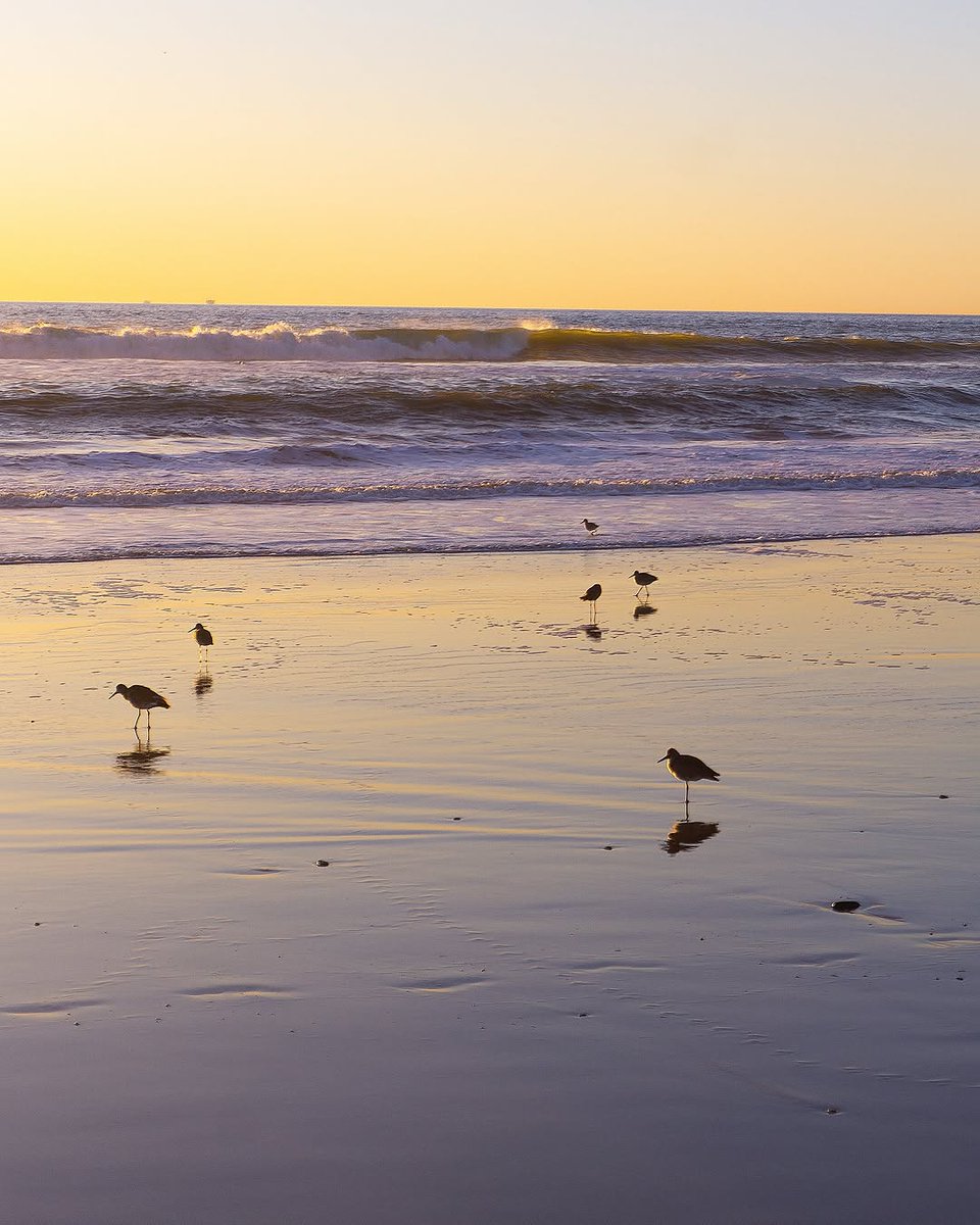 Just reminiscing about those breathtaking Oxnard sunsets from February 🍓💜🌊. Thank you, Lissette, for capturing! 😍📷 --&gt; bit.ly/3CkWoBm

📍: Oxnard, CA
📷: @conamorlisette
 #VisitOxnard #VisitCa