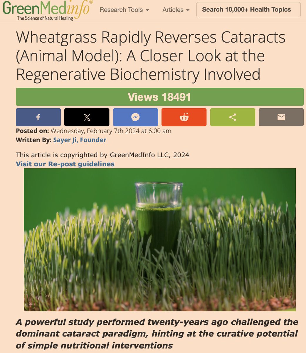 Wheat grass is a vastly undestimated regenerative powerhouse. Here's why: greenmedinfo.com/blog/wheatgras…