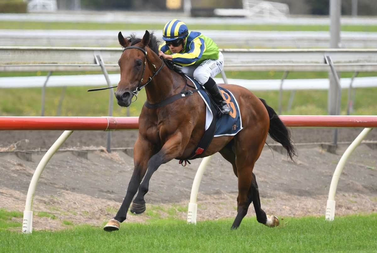 LOVERACING.NZ (@loveracingnz) on Twitter photo "We’re testing the waters a little bit by stepping up in distance."
<a href="/Forsman_Racing/">Forsman Racing</a> Yaldi will be tested over a mile for just the second time at Flemington on Saturday, with his performance dictating his future plans.
📰 Read more: buff.ly/Aj4HPKG "We’re testing the waters a little bit by stepping up in distance."
<a href="/Forsman_Racing/">Forsman Racing</a> Yaldi will be tested over a mile for just the second time at Flemington on Saturday, with his performance dictating his future plans.
📰 Read more: buff.ly/Aj4HPKG