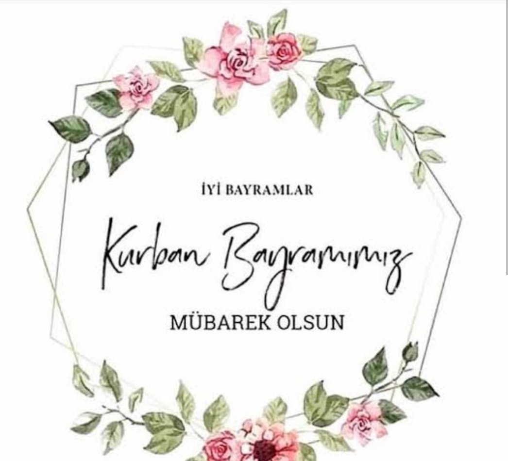 Sedatcan Bulut (@bulutsedat20517) on Twitter photo 