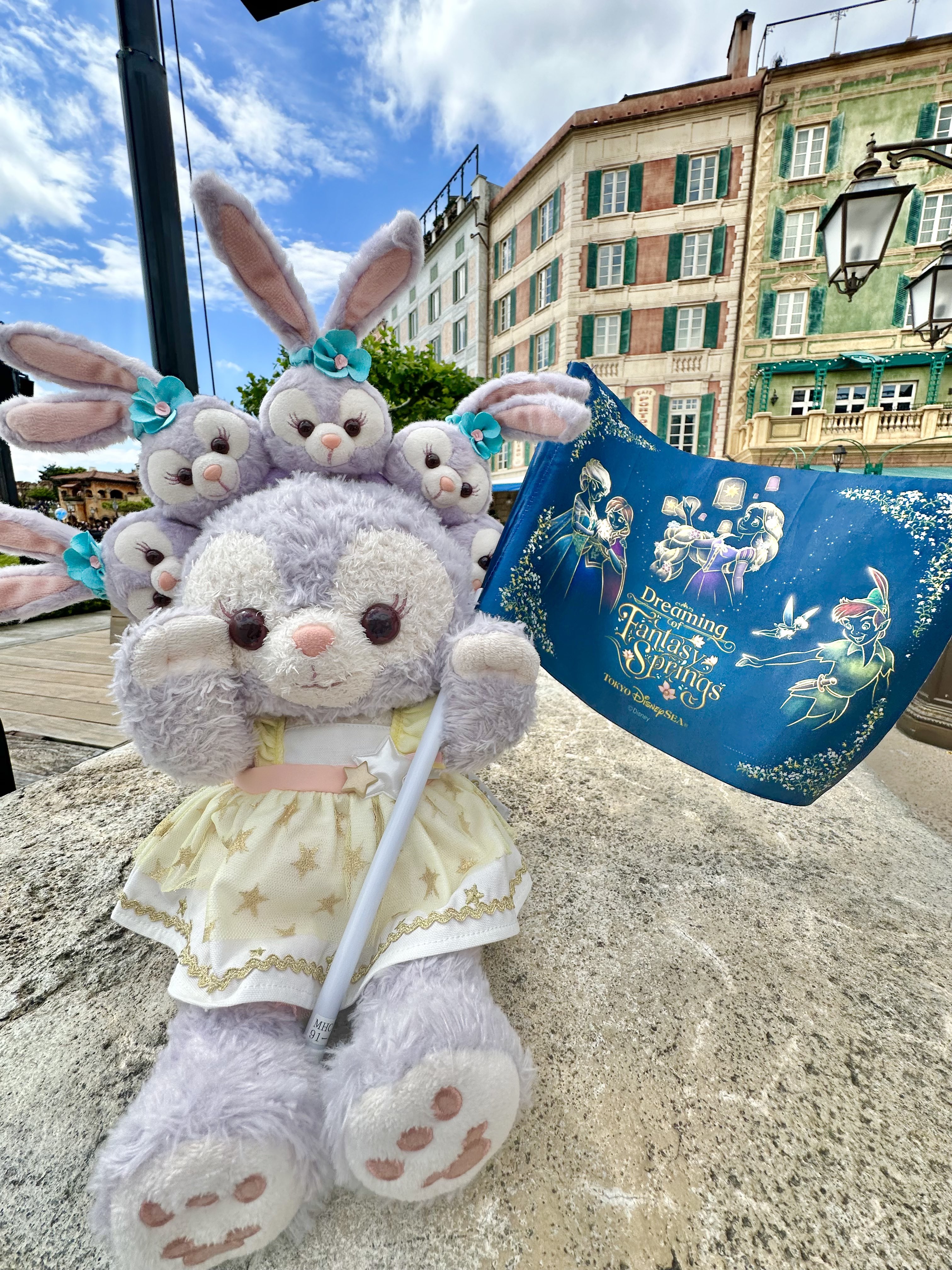 PuPuPu様♡確認page☆ステラ・ルー PuPuPu様♡確認page☆ステラルー