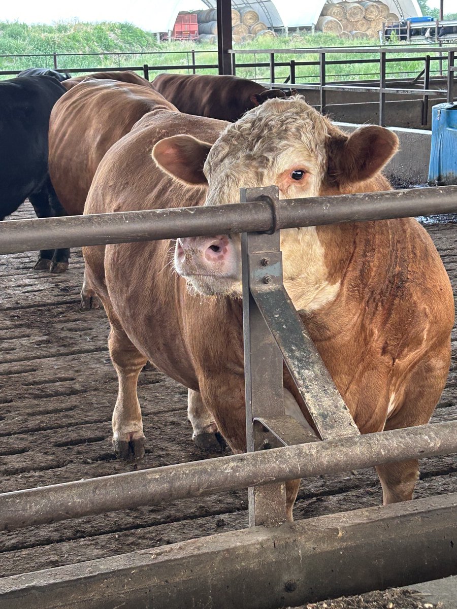 Lance Schiele (@schiele_lance) on Twitter photo He’s not little He’s not little