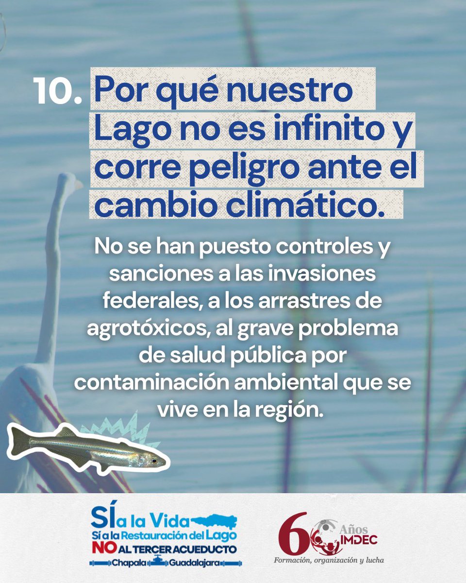 imdecac's tweet photo. @Mariomarlo @torreszam @Mercedes_Alta @upojast @paz_jardines @AreliSandovalT @Partiderode10 @GloReza @rmartinmar @jestradax 🌱💦#SiALaRestauraciónDelLago|
📣💦El Frente de Pueblos de la Ribera de Chapala, organizaciones y academicxs exhortamos a @PabloLemusN @aguadejalisco @siapagdl #CEAJ a que revisemos la situación del #Agua en #Jalisco y plantear otras soluciones #DiálogosPorElAgua https://t.co/FzQpvVlShG