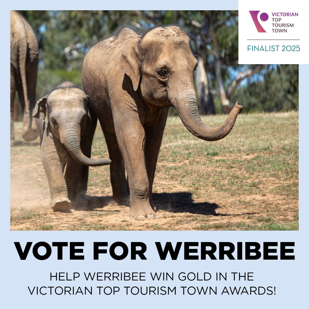 Help WERRIBEE win GOLD! Werribee is a finalist in the @vticnews Victorian Top Tourism Town Awards and your vote can help us win! 

Vote now at vtic.com.au/toptourismtown…