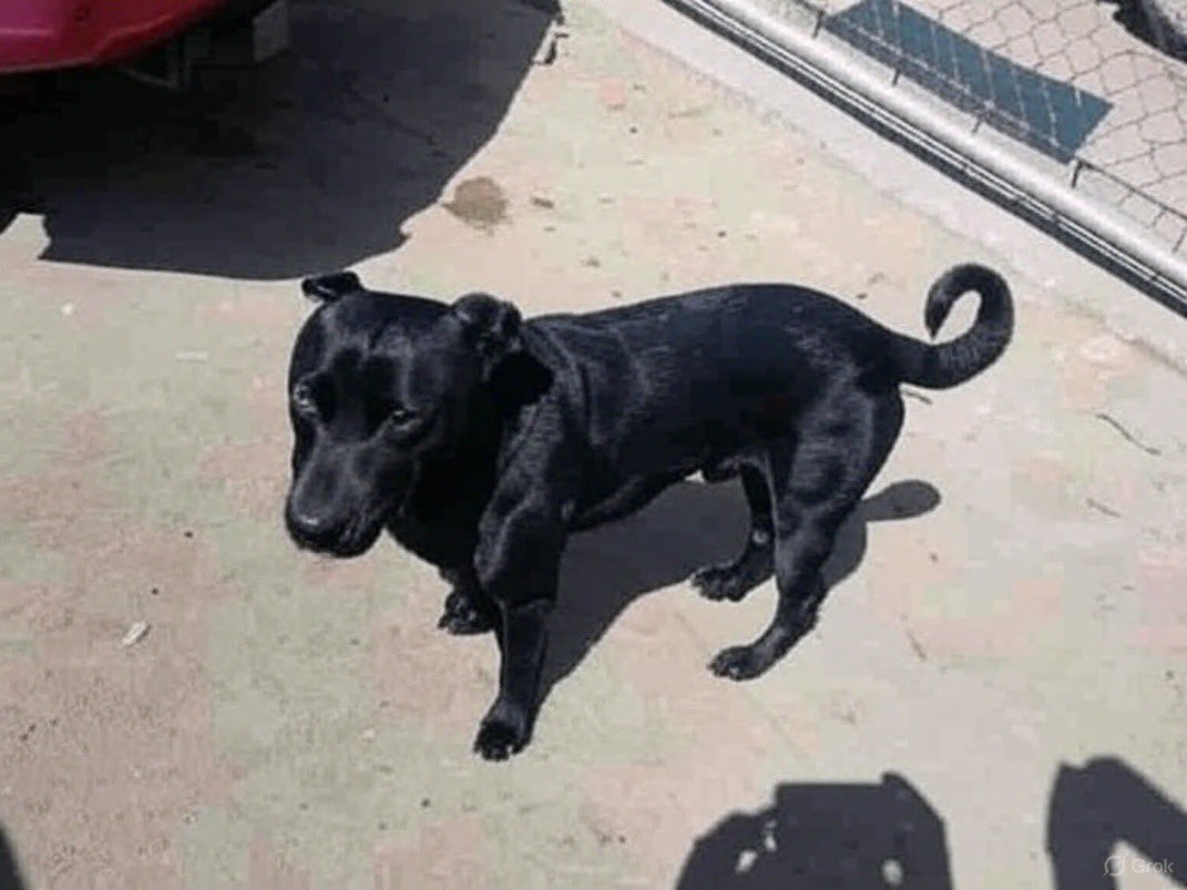 <a href="/2faaus/">fau</a> Amigo no me lo vas a creer