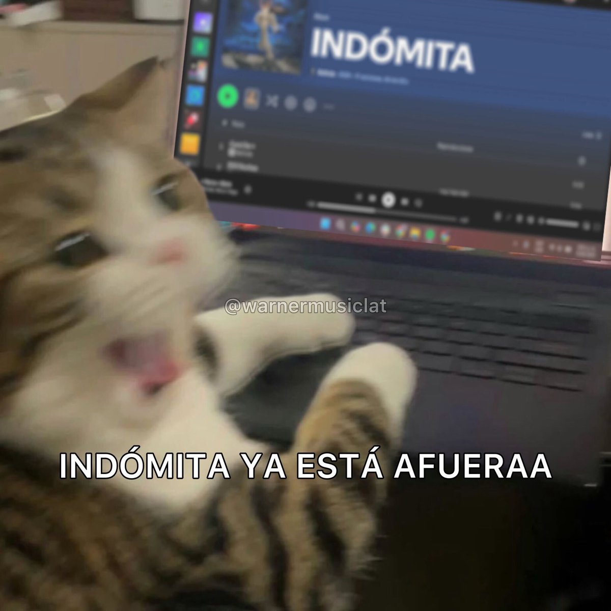 Yo no sé tú, pero así estoy yo escuchando el álbum completo de <a href="/belindapop/">Belinda</a> 😍🏹
¿Cuáles tienes en replay? belindamx.lnk.to/Indomita
#BelindaIndomita