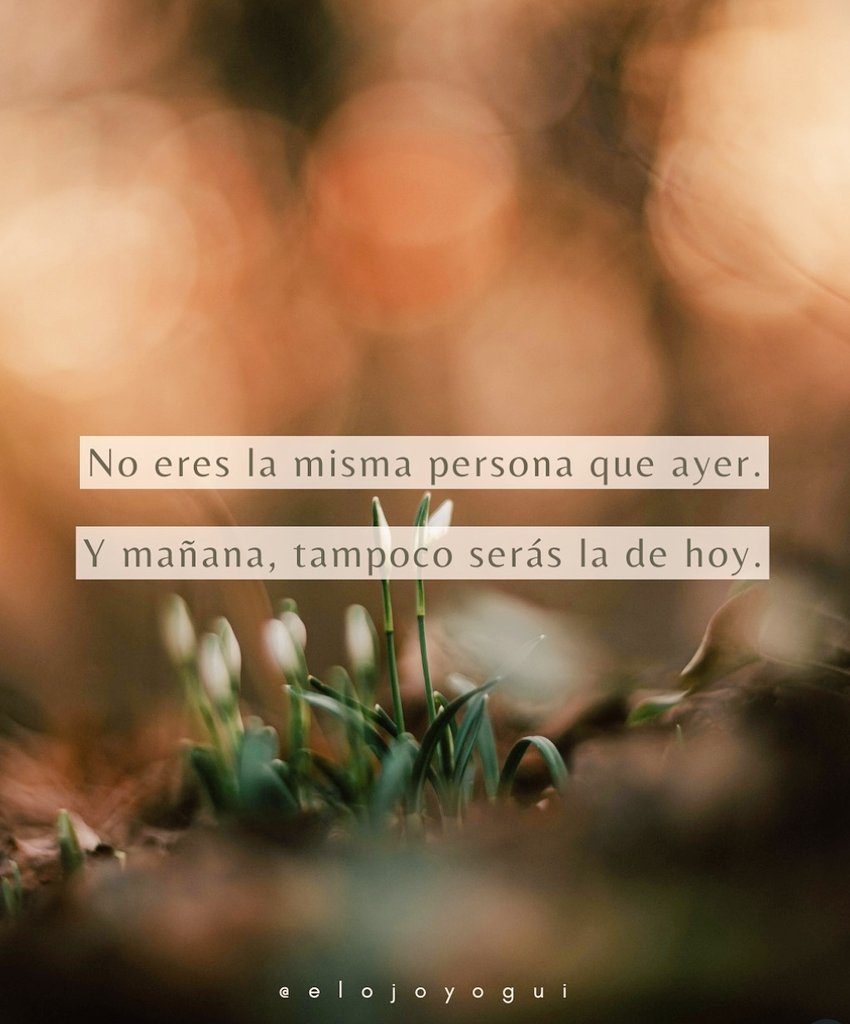 Coincido con ésto...