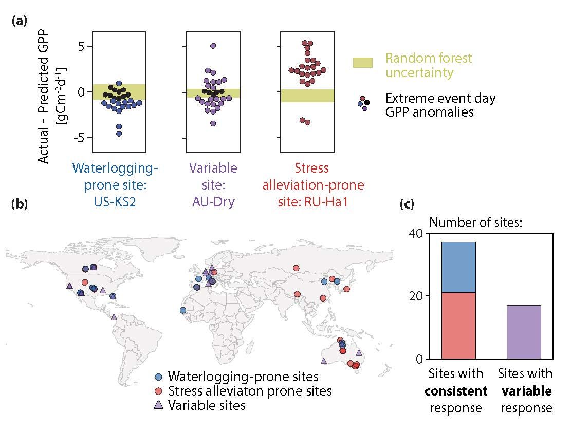 Susceptibility to Photosynthesis Suppression From Extreme Storms Is Highly Site‐Dependent 

buff.ly/wDw9ANy