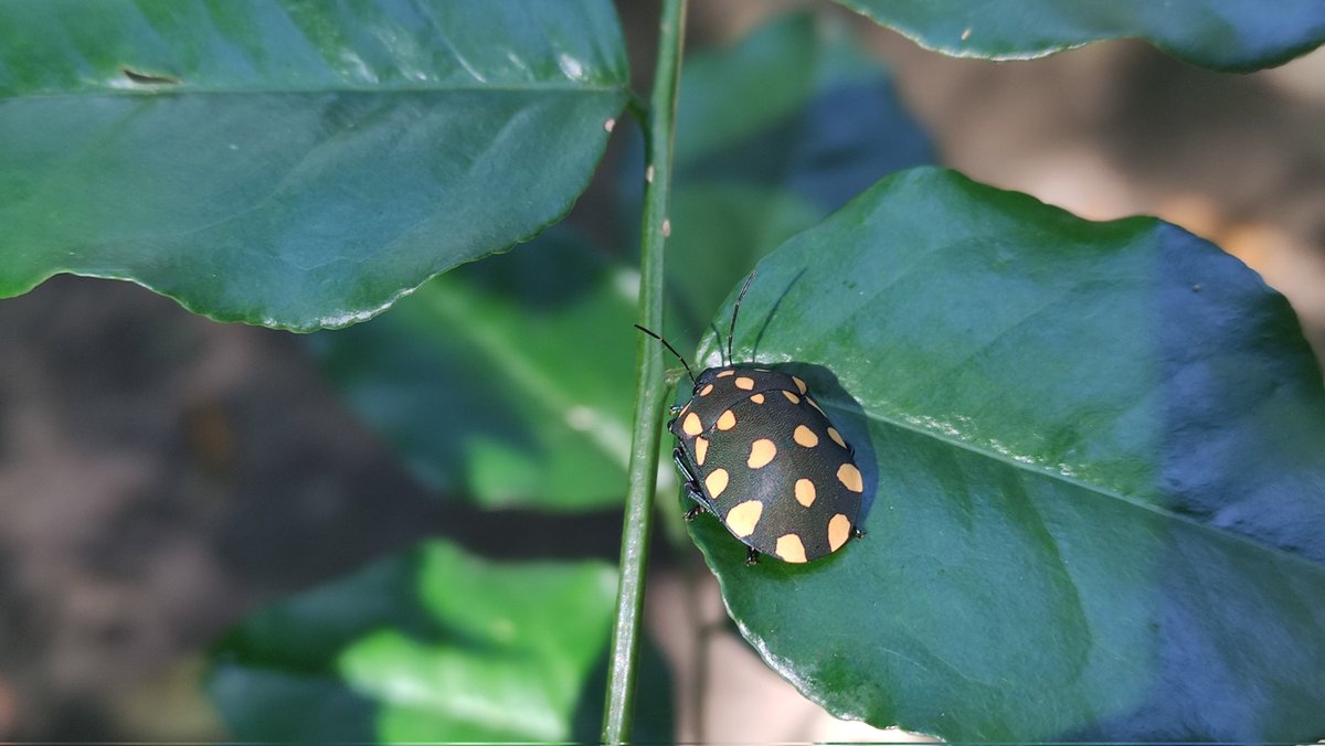 Ingrid, PFF2 😷 tweet media