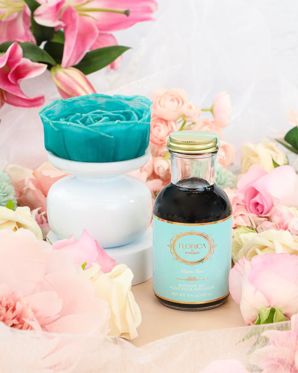 SpongelleLLC's tweet image. True blue, baby I love you! 🩵 Blooming with bold color and rich fragrance, our Florica Mystic Rose Floret #Diffuser is the perfect way to spice up any room’s signature scent. Complete with a glass vase, natural tapioca Floret, and Diffuser Oil, wait just 48 hours for a beautiful
