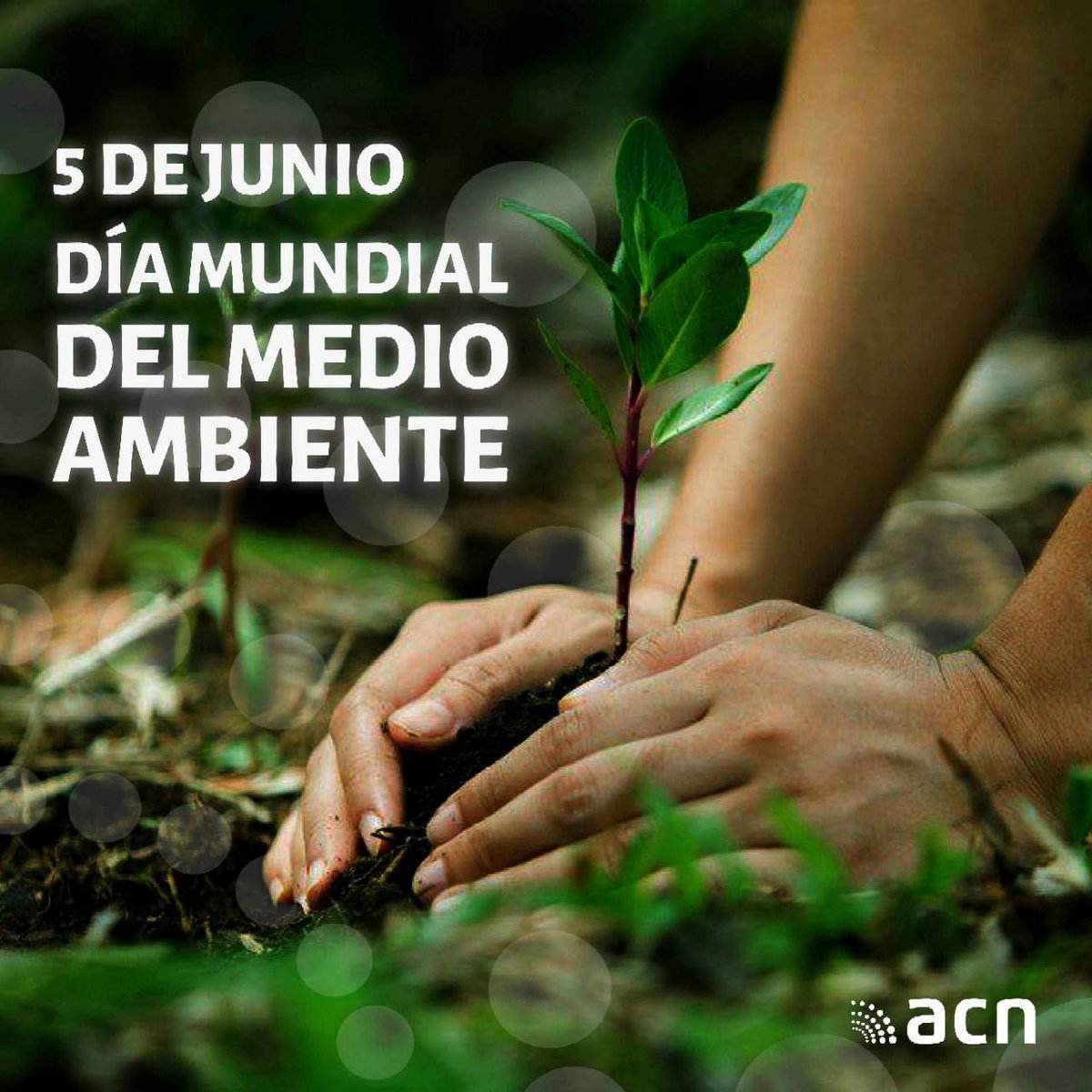 🌊💚🇨🇺🌎¿Sabías que para 2050 podría haber más plástico que peces en los océanos? #DíaMundialDelMedioAmbiente nos invita a transformar nuestra relación con el plástico para: 
📉Reducirlo
✌️Reutilizarlo
♻️Reciclarlo 
Podemos adoptar hábitos saludables y proteger los ecosistemas.🌎