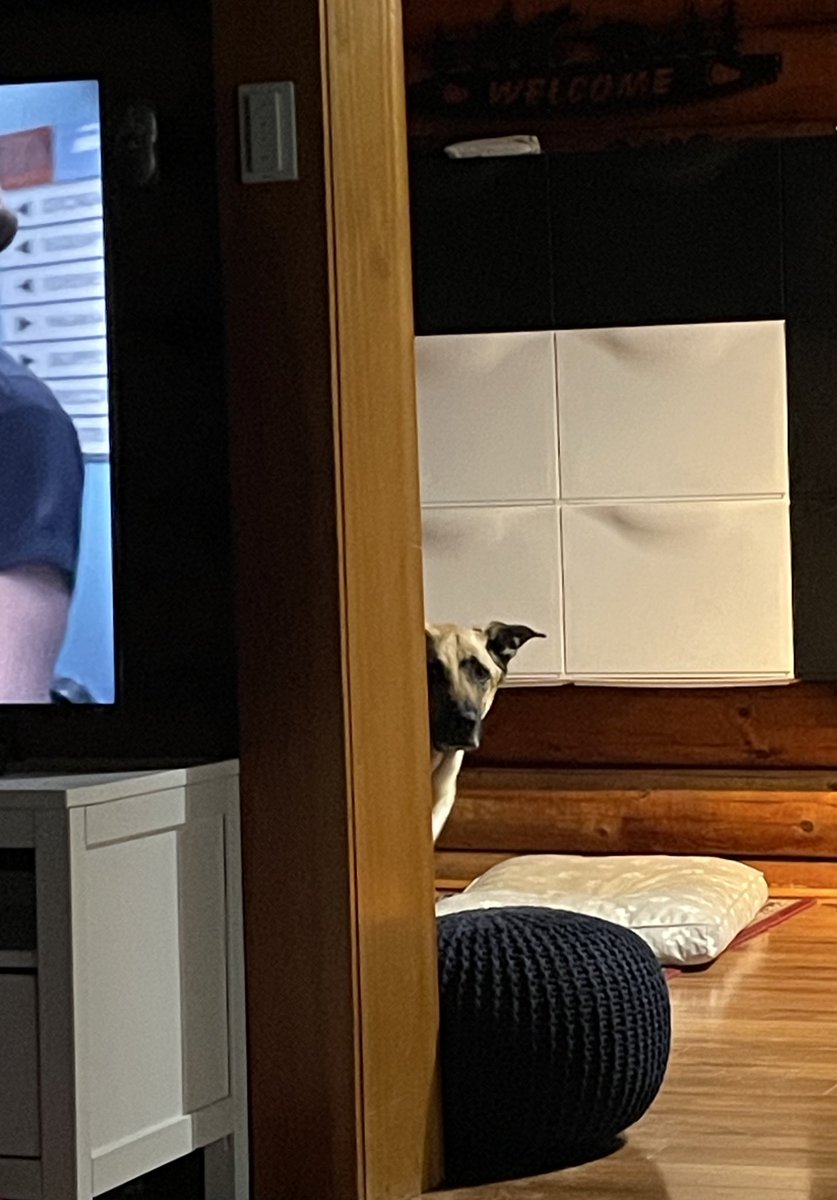 Eye spy with my little eye, a lazy lady sitting on the couch when she should be prepping my dinner.

9 minutes late is unacceptable!