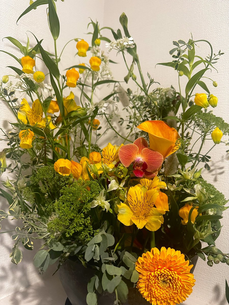 今月のお花💐

花屋さん変えてみたんだけど
お気に入り💚💛🧡

一気に蕾開いてきて嬉しい〜〜
