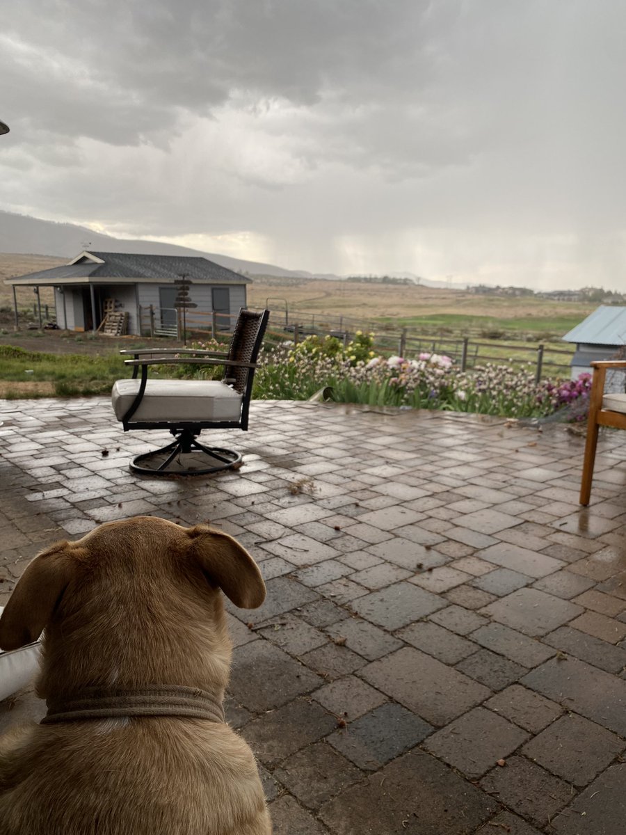 A moment to remind us that life is beautiful