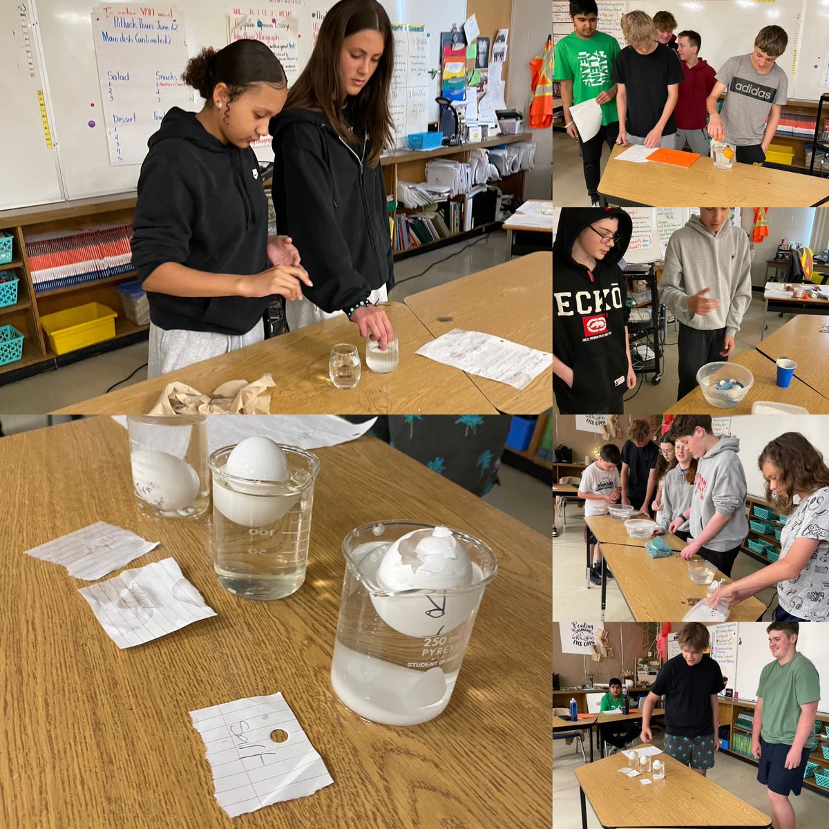 Melanie (@klimkowskimrs) on Twitter photo 8K students demonstrating their understanding of buoyancy today in science class through different demonstrations <a href="/belleriverbucs/">Belle River PS</a> excellent way to assess Ss knowledge and understanding! 8K students demonstrating their understanding of buoyancy today in science class through different demonstrations <a href="/belleriverbucs/">Belle River PS</a> excellent way to assess Ss knowledge and understanding!