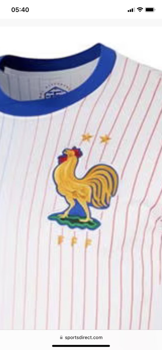 The women’s <a href="/equipedefrance/">Equipe de France ⭐⭐</a> team prefer a small Coq by the look of it