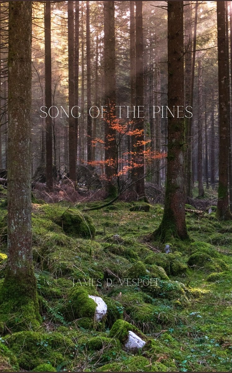 Thevoguewriters (@thevoguewriters) on Twitter photo Song of the Pines by James D. Vespoli is a transcendent collection of nature poetry that invites readers into the serene and sacred beauty of the natural world.
amazon.com/dp/B0F9NR935N?…
<a href="/JDVespo/">James Vespoli</a> Song of the Pines by James D. Vespoli is a transcendent collection of nature poetry that invites readers into the serene and sacred beauty of the natural world.
amazon.com/dp/B0F9NR935N?…
<a href="/JDVespo/">James Vespoli</a>
