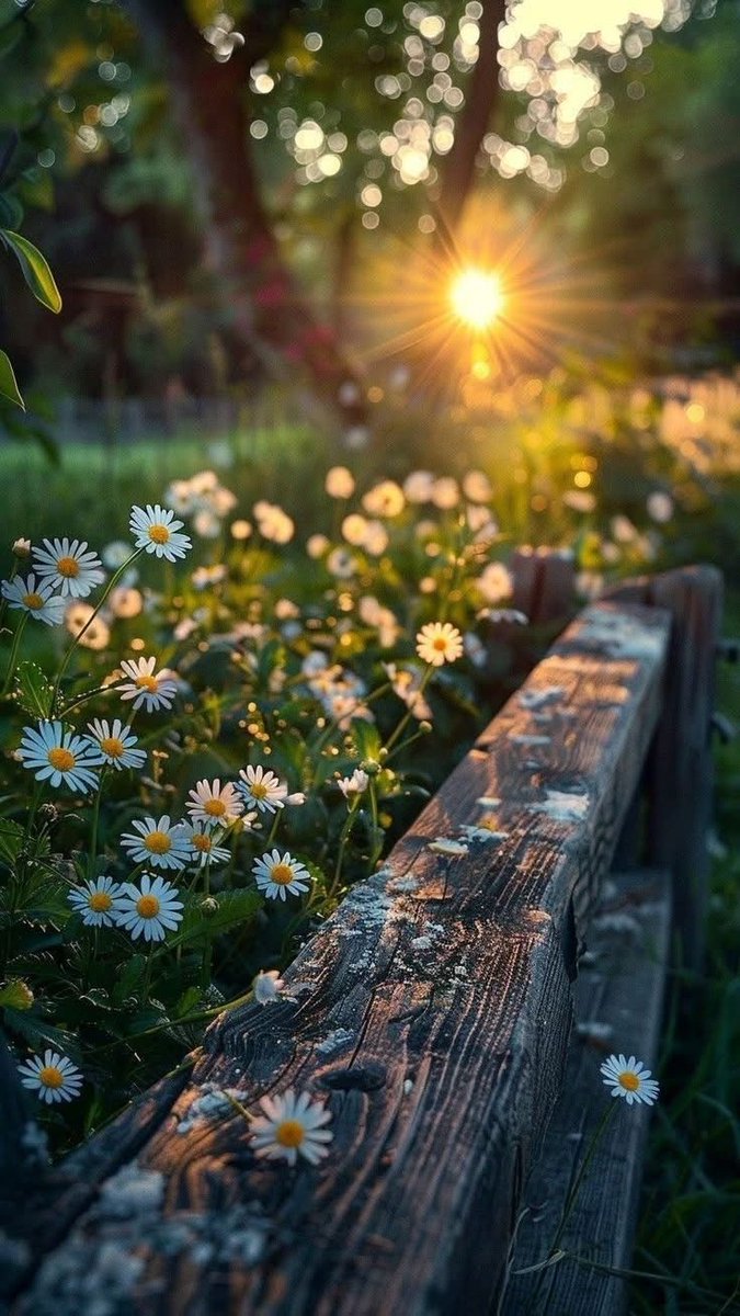 Hope everyone had a nice evening💛🩷💚🩷💚 <a href="/Spp562Paul/">Steve Paul</a> <a href="/real_true_blue_/">Facts are vital</a> <a href="/Coachjeff629/">Jeff Myers</a> <a href="/pam8896/">Pamela -Wysox, Pa🌍🐾💙</a> <a href="/PollyannaP3/">PollyannaP</a> <a href="/RoganBarbara/">Barbara Rogan</a> <a href="/red5243/">Deport Elon Fuck Trump 🎶</a> <a href="/Ireland0828/">Denise</a> <a href="/RoyalCharteredS/">I speak my mind</a> <a href="/insonifier/">Tom</a> <a href="/paulcshipley/">Paul the other one...</a> <a href="/RichLather17/">Rich Lather</a> <a href="/PDewille/">Peg DeWille</a> <a href="/RivkaPNW/">beckypnw ♏️ 🐉</a> <a href="/NetBogeyshank/">Grip it and rip it</a> <a href="/raphaelha67/">blunt67</a> <a href="/pjampaganza/">Papo</a> <a href="/rbisrb/">RB</a> <a href="/RMapleCan/">ProudCanRobz 🇨🇦</a>