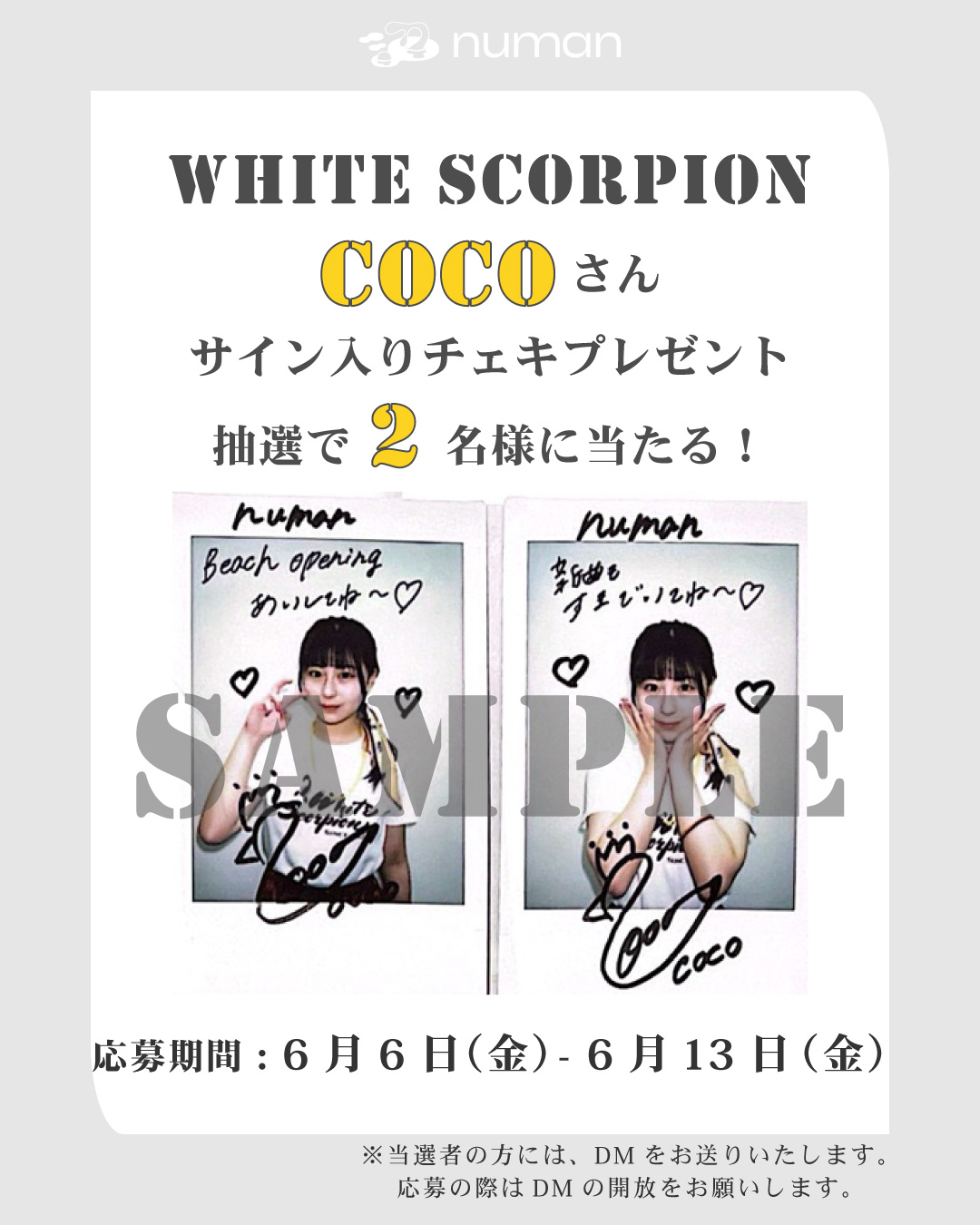 店内商品がすべてレジにて半額！！ numan（ヌーマン）  X: on ミュージシャン