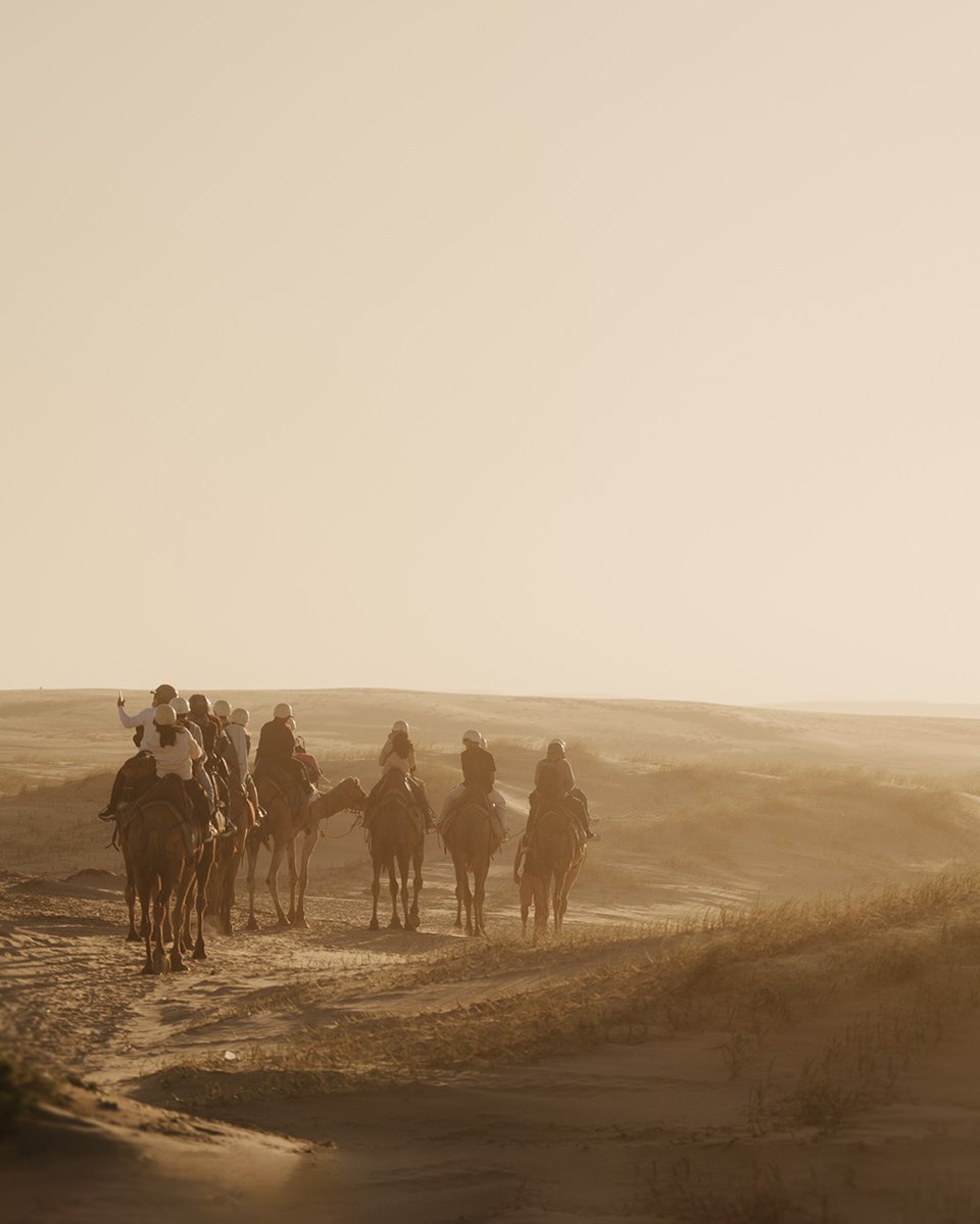 gointerstate's tweet image. 🐫 Trading our 180 horsepower for camel power?⁠
We pulled up for the night and found ourselves parked beside a camel tour at golden hour.
⁠
Ever stumbled on something this unexpected on your travels?

intst.au

#vanlife #motorhome #campervan #rvlife #nsw
