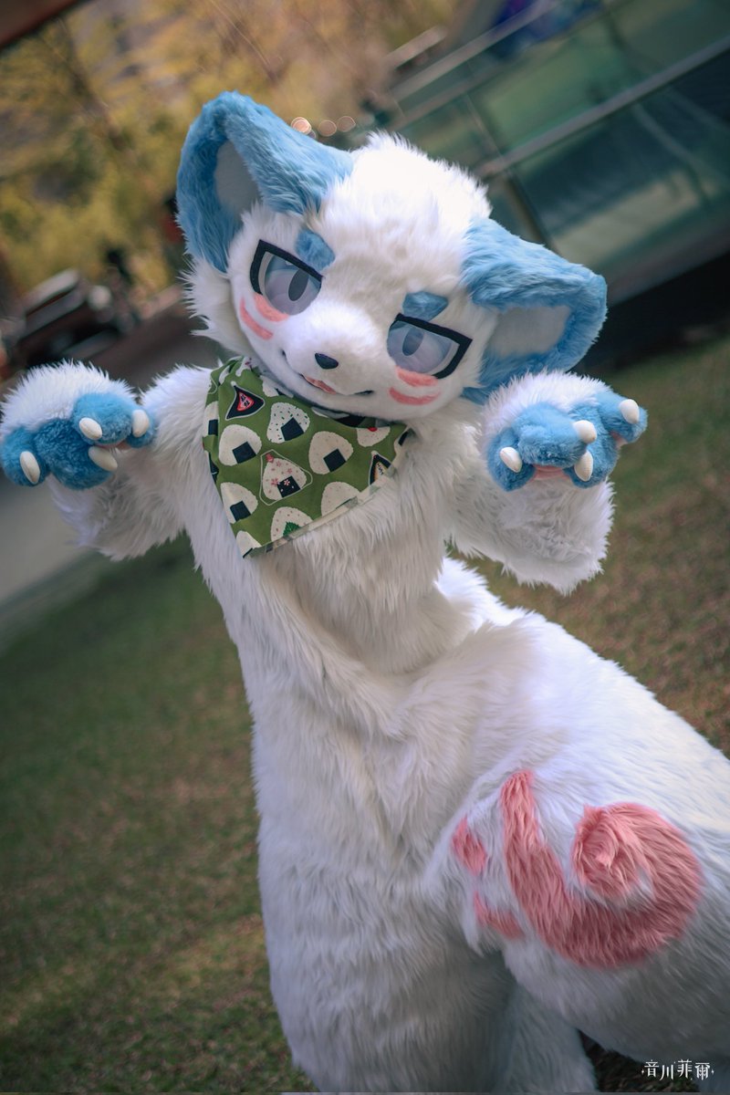 貓又也是妖怪！
所以就算是隻小貓 還是很嚇人的！

#FursuitFriday