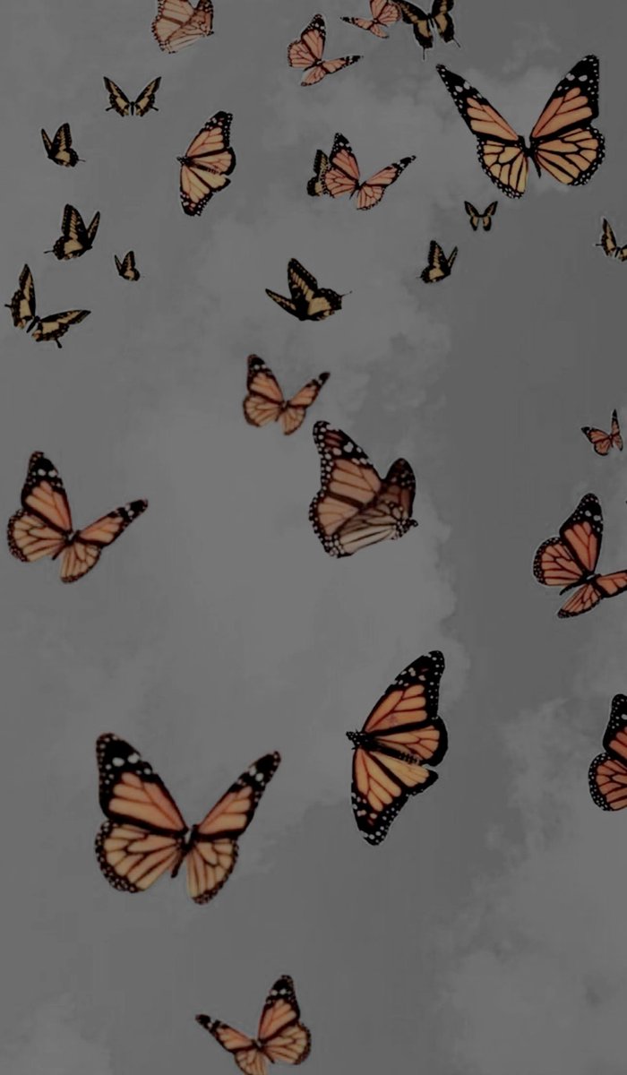 herguardedheart's tweet image. 