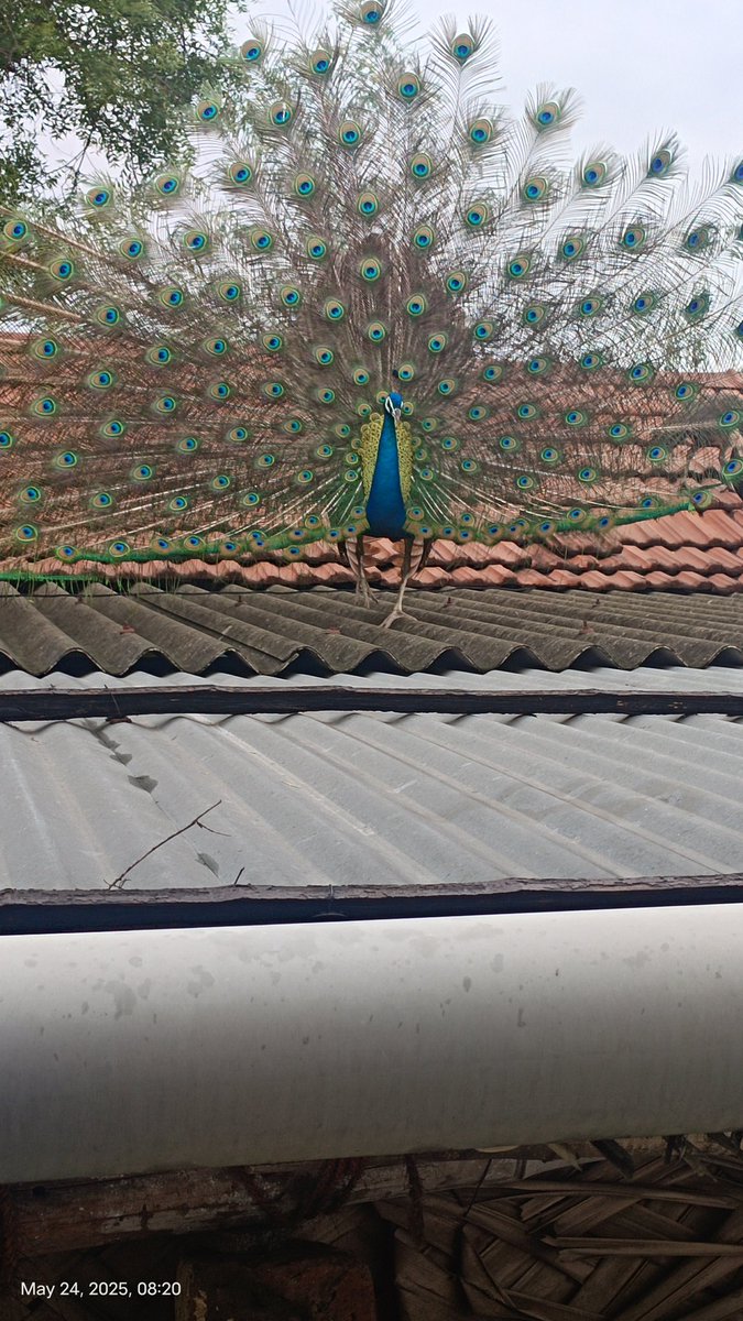 ஒவ்வொரு மகிழ்ச்சியிலும்
ஒரு துயரம் மறைந்திருக்கும்..

ஒவ்வொரு துயரத்திலும்
ஒரு மகிழ்ச்சி மறைந்திருக்கும்..

எதிர்காலம் என்ன கொண்டுவரும் என யாருக்கு தெரியும்?

இனிய காலை வணக்கம் 💐💐