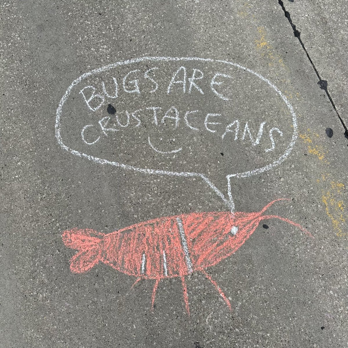 artofjyang's tweet photo. my contribution to the sidewalk 🦐🦐 https://t.co/CGeqTEmA8d