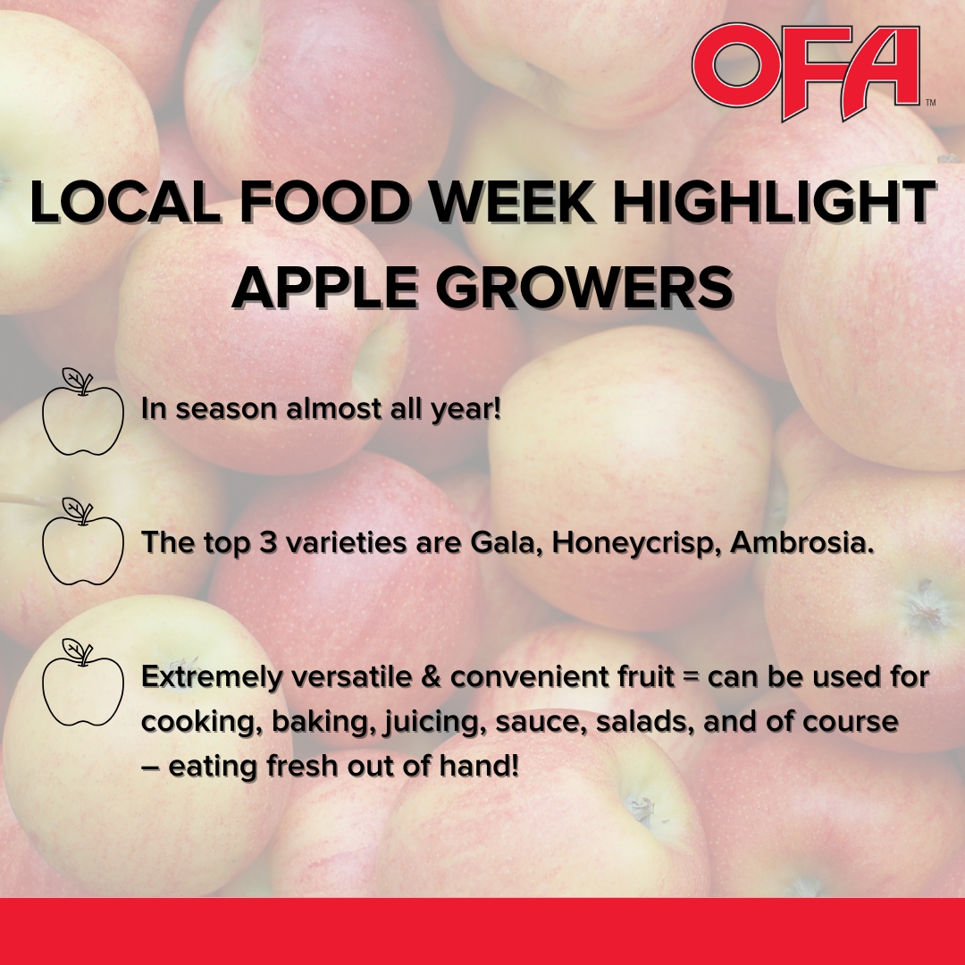 Ontario Federation of Agriculture (@ontariofarms) on Twitter photo 🚨This #LocalFoodWeek, you should 'apple'-solutely add <a href="/ontarioapples/">Ontario Apples</a> to your grocery store or farmers' market haul list! Visit onapples.com to learn more. 🍎 🍎
#ThanksONFarmers #LoveONFood 🚨This #LocalFoodWeek, you should 'apple'-solutely add <a href="/ontarioapples/">Ontario Apples</a> to your grocery store or farmers' market haul list! Visit onapples.com to learn more. 🍎 🍎
#ThanksONFarmers #LoveONFood