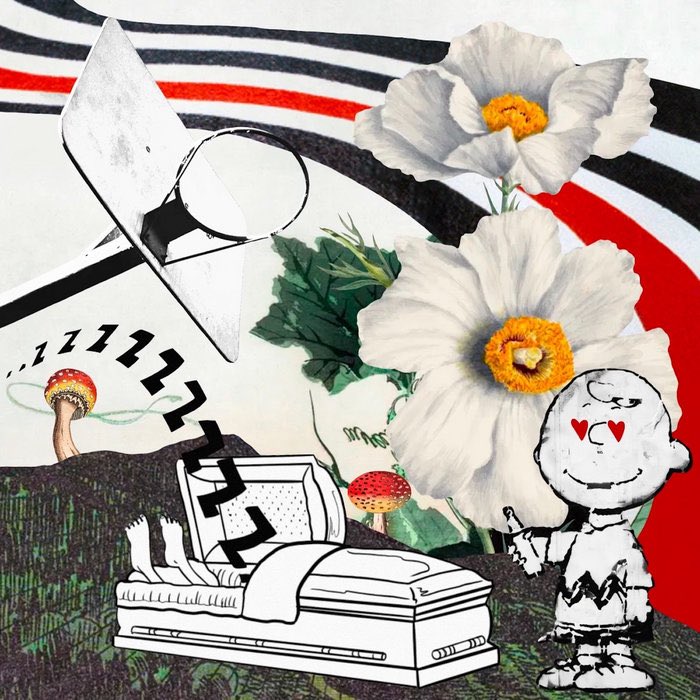 DEF Magazine tweet media