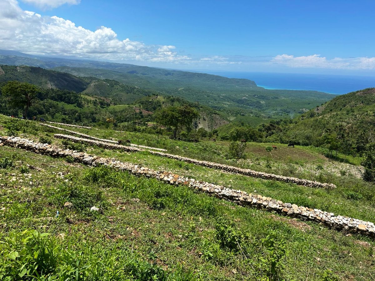 undphaiti's tweet photo. Grâce à l’appui de @theGEF ,@theGCF , @JapanGov ,@Montreal_fund, et en collaboration avec @EnvironnementHT , @Helvetas , @HeiferHaiti , @FAOHaiti , le PNUD🇭🇹 contribue à la protection de l’environnement dans 35 communes d’Haïti.
#JourneeDeLEnvironnement #WorldEnvironmentDay2025 https://t.co/eMaHoDm5GK