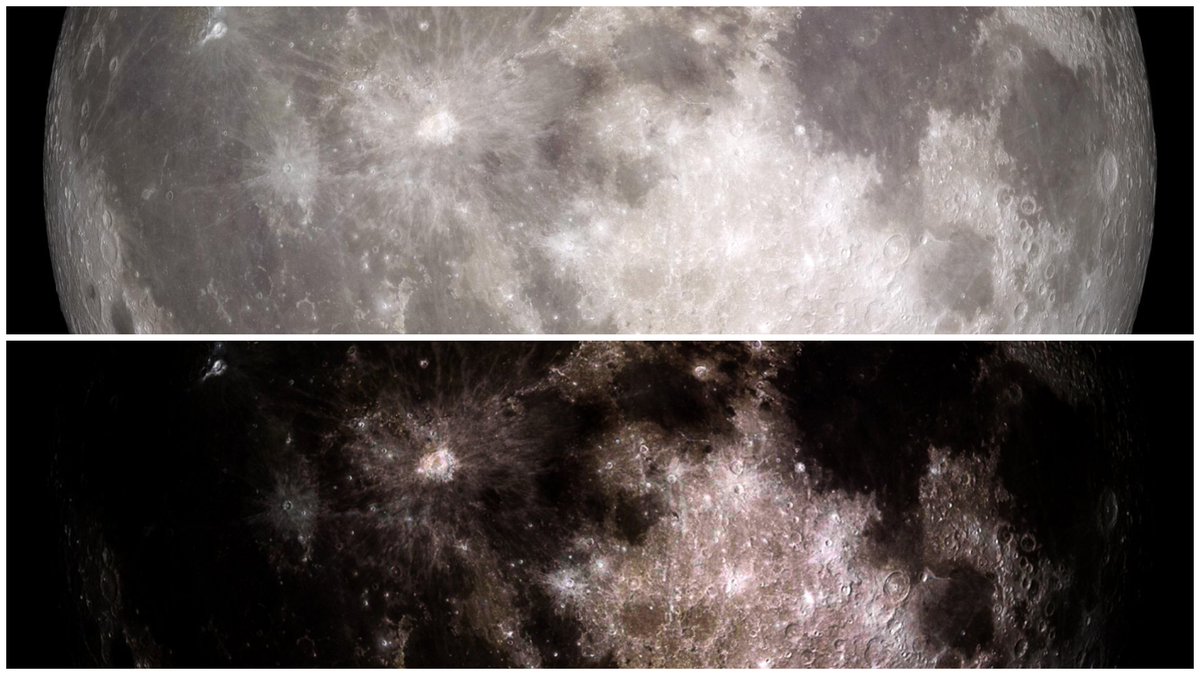 James_Hawke1's tweet image. In my 60 years, I have discovered:

⦁ A Creator is real [the only rational conclusion].  It does not involve religion.
⦁ we hold life principles innately in our hearts from birth [truth/love/kindness/courage/wisdom etc].  From the Creator. They did not evolve.
⦁ Nothing