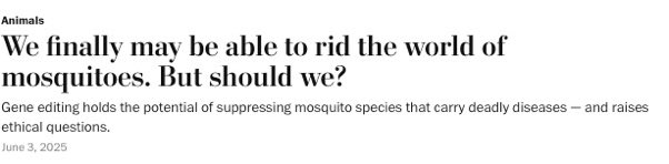 …yes