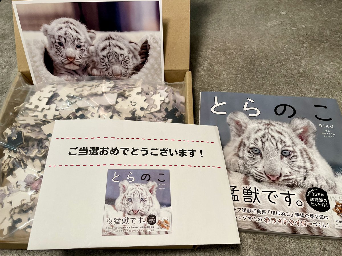 『#とらのこ 』発売キャンペーンの
特製 ジグソーパズル ➕とらのこ
当たりましたー ≡˙Ⱉ˙≡✨️
辰巳出版さまありがとうございます😭

めちゃくちゃうれしい！！！
1冊持ってるけど見すぎてへべへべになっちゃってるから、新しいのもらえて幸せ