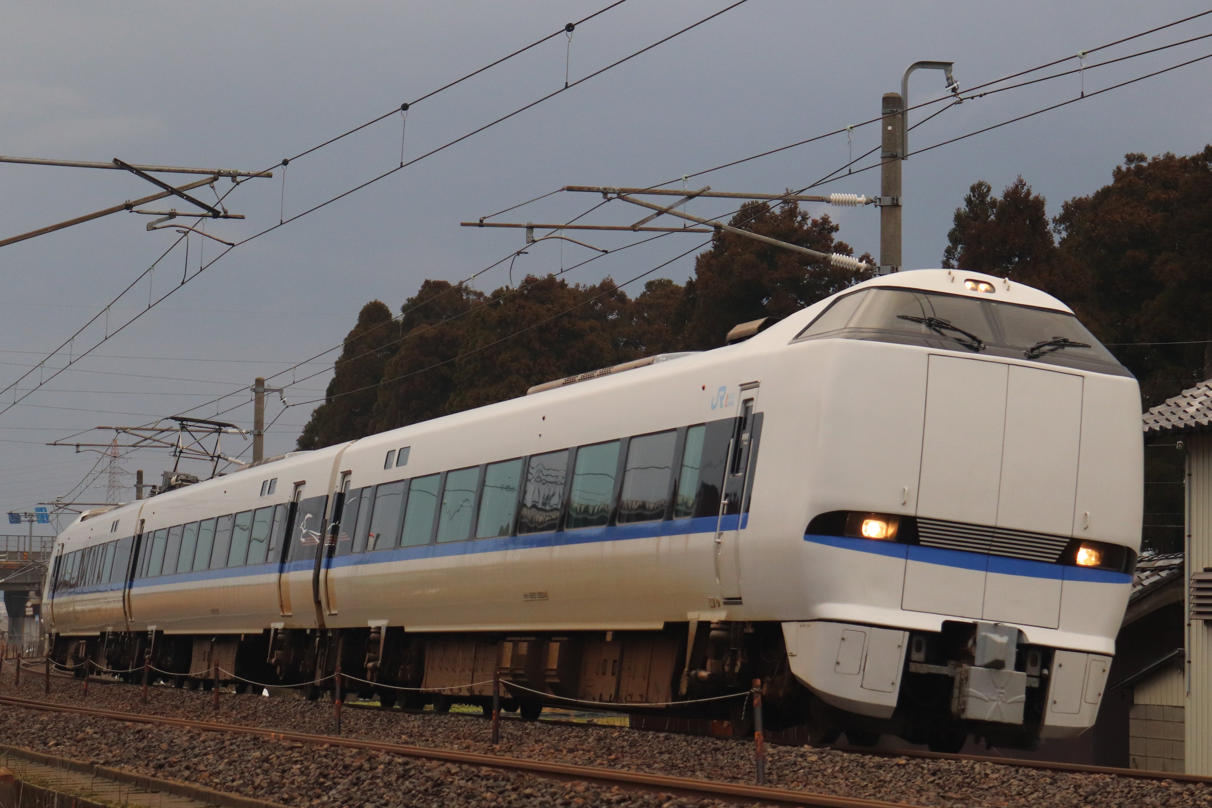 しらたま (@Shiratama_Model) / X