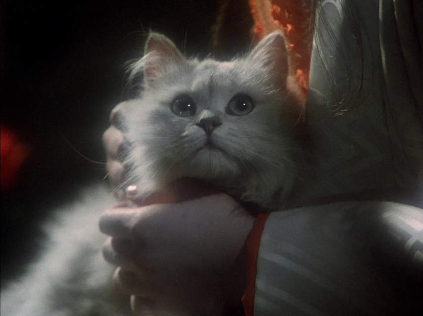 cineinterrupted's tweet photo. House (1977) - dir. Nobuhiko Obayashi https://t.co/FXFznBhZQQ