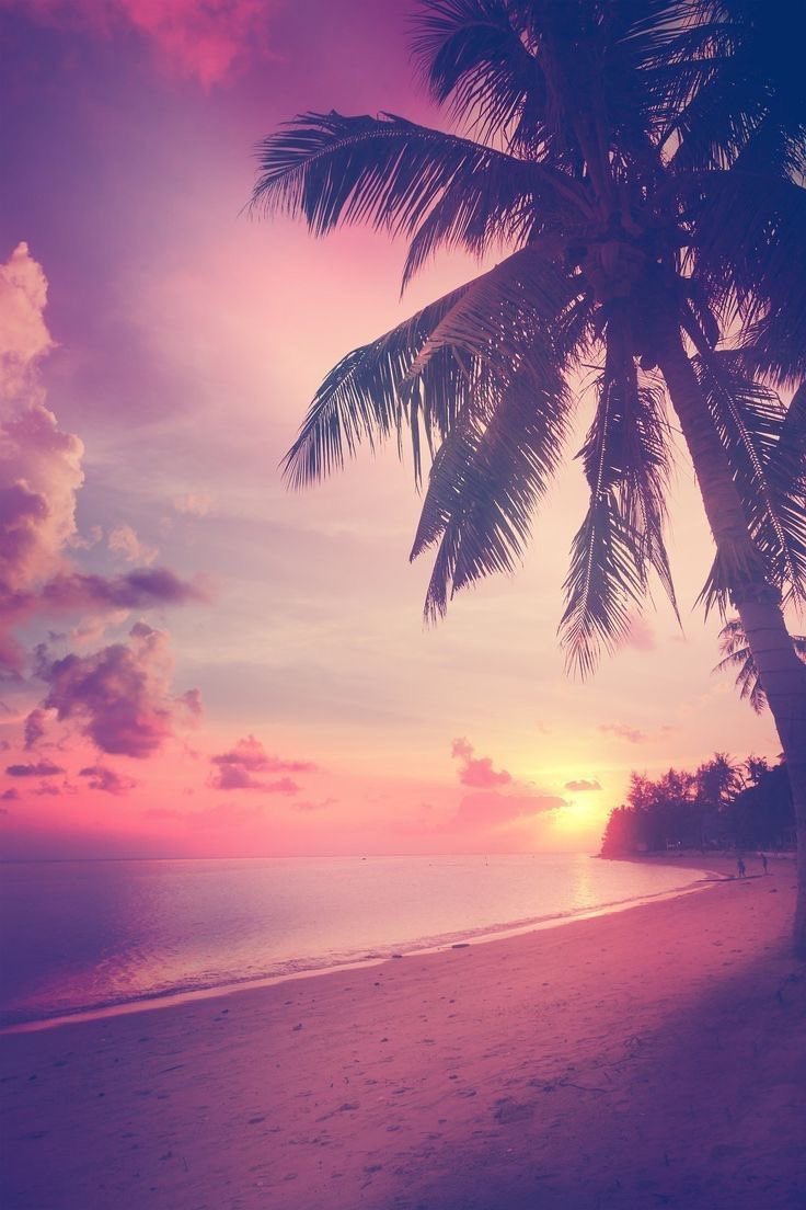 mermaidgirl7352's tweet photo. we went to beach today 🍬🌊🪬🐬🐚
#seapunk #tumblrrevival https://t.co/2MVRfk8mZL