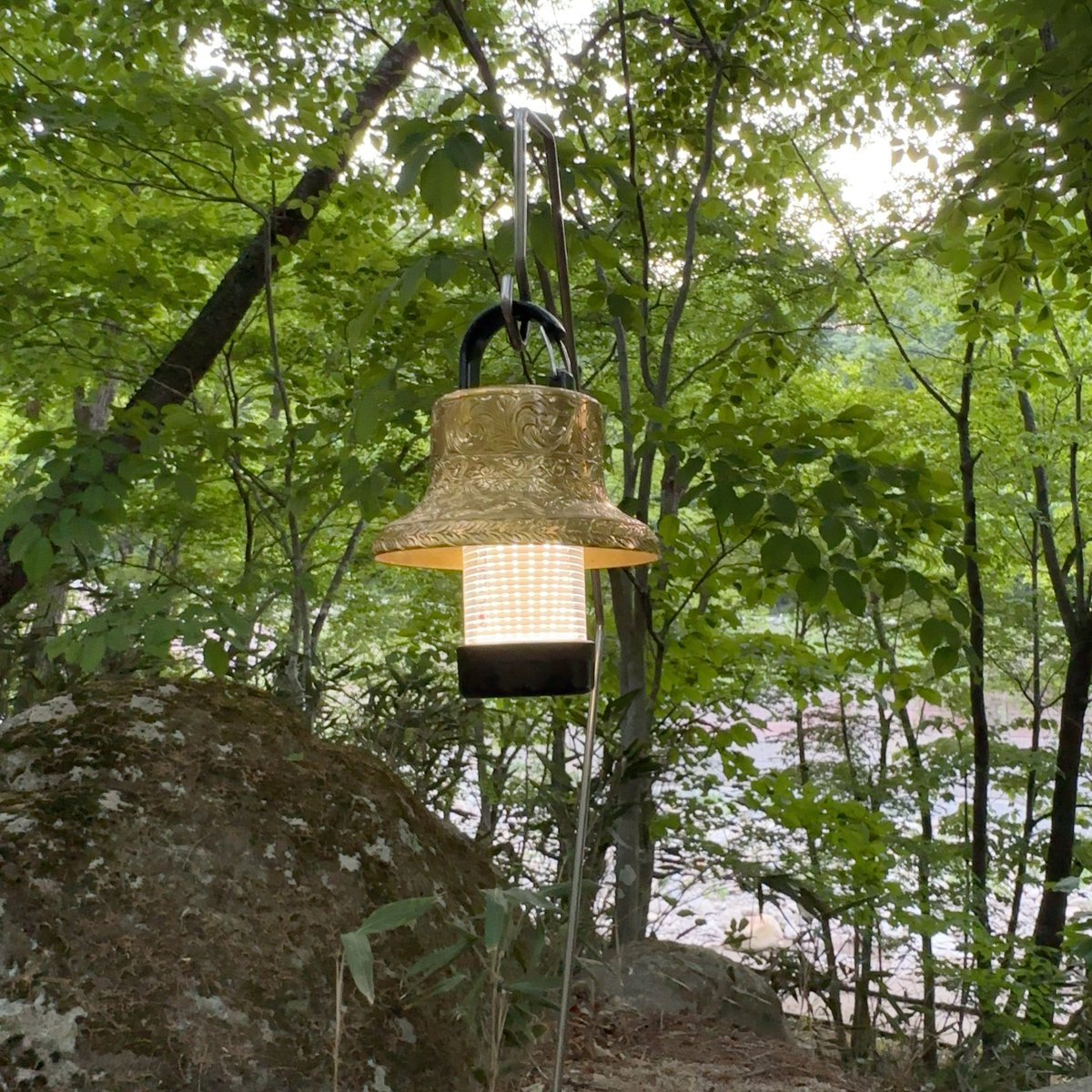 ホコリタケハット