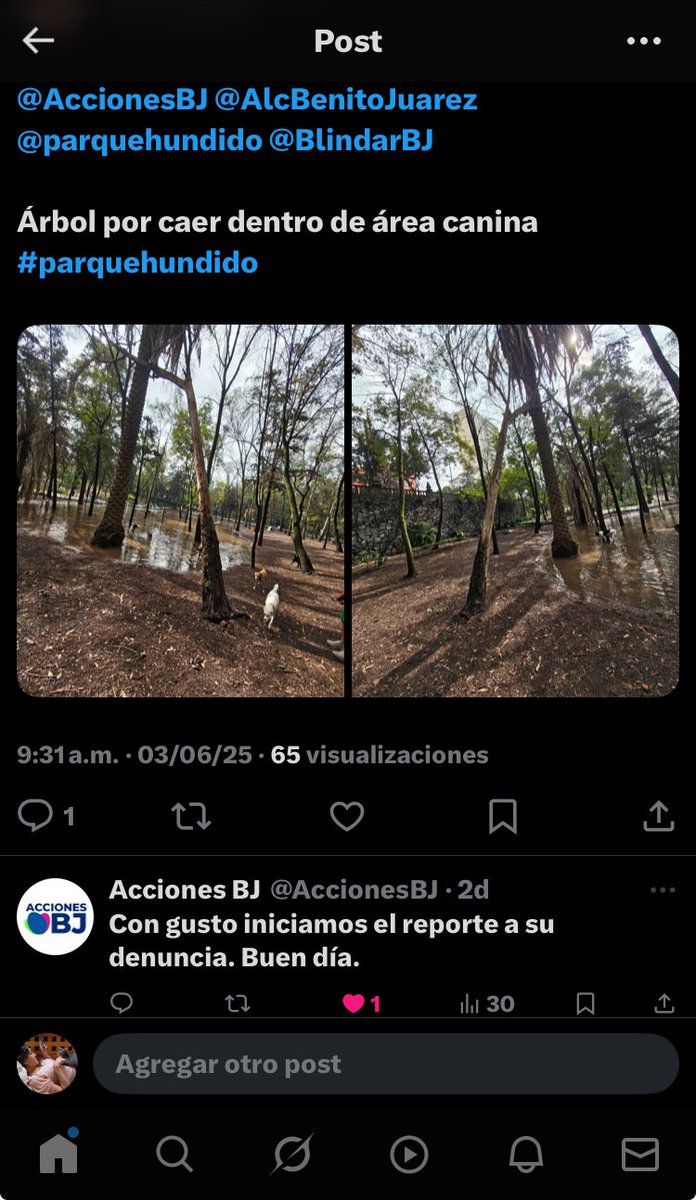 Laura Hernández tweet media