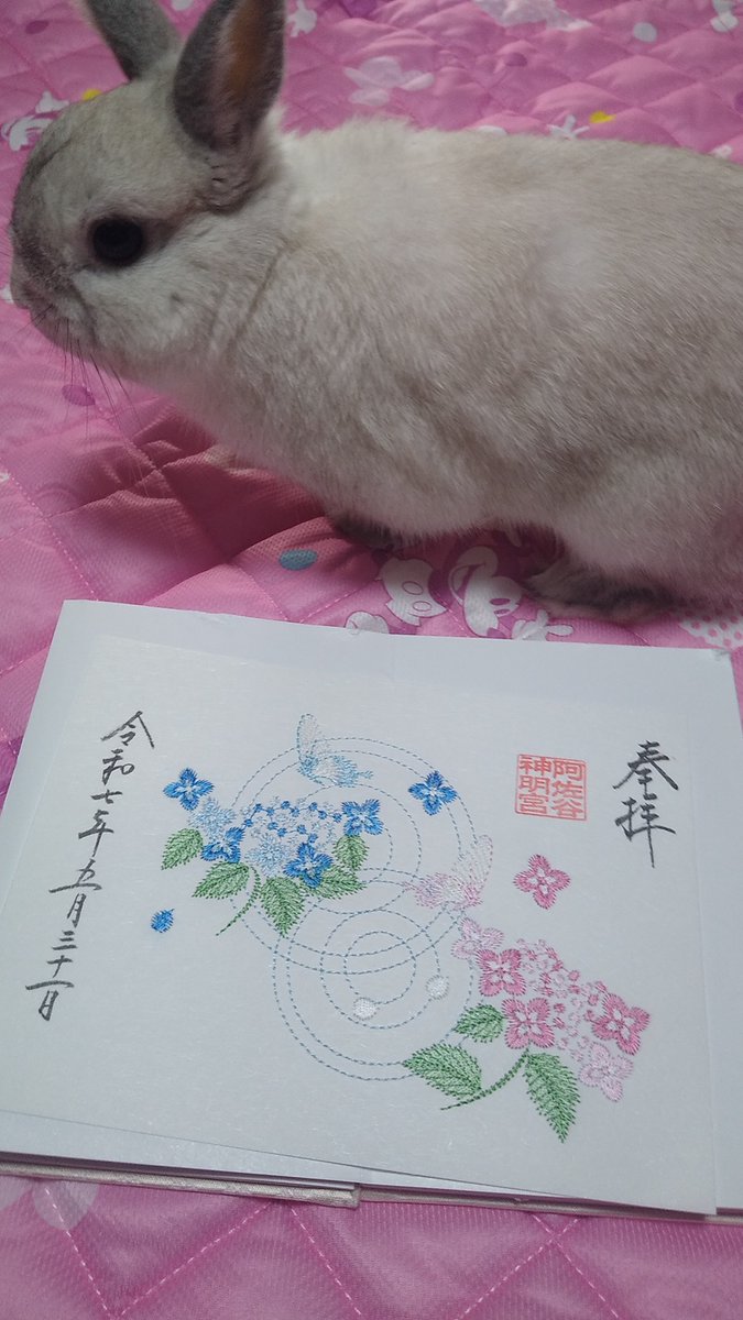 今回は6月らしい、キラキラしたあじさいの刺繍御朱印です🐰💐🖌️あじさいは厄除けの花、金運の花として玄関などに飾られることもあるそうです。
