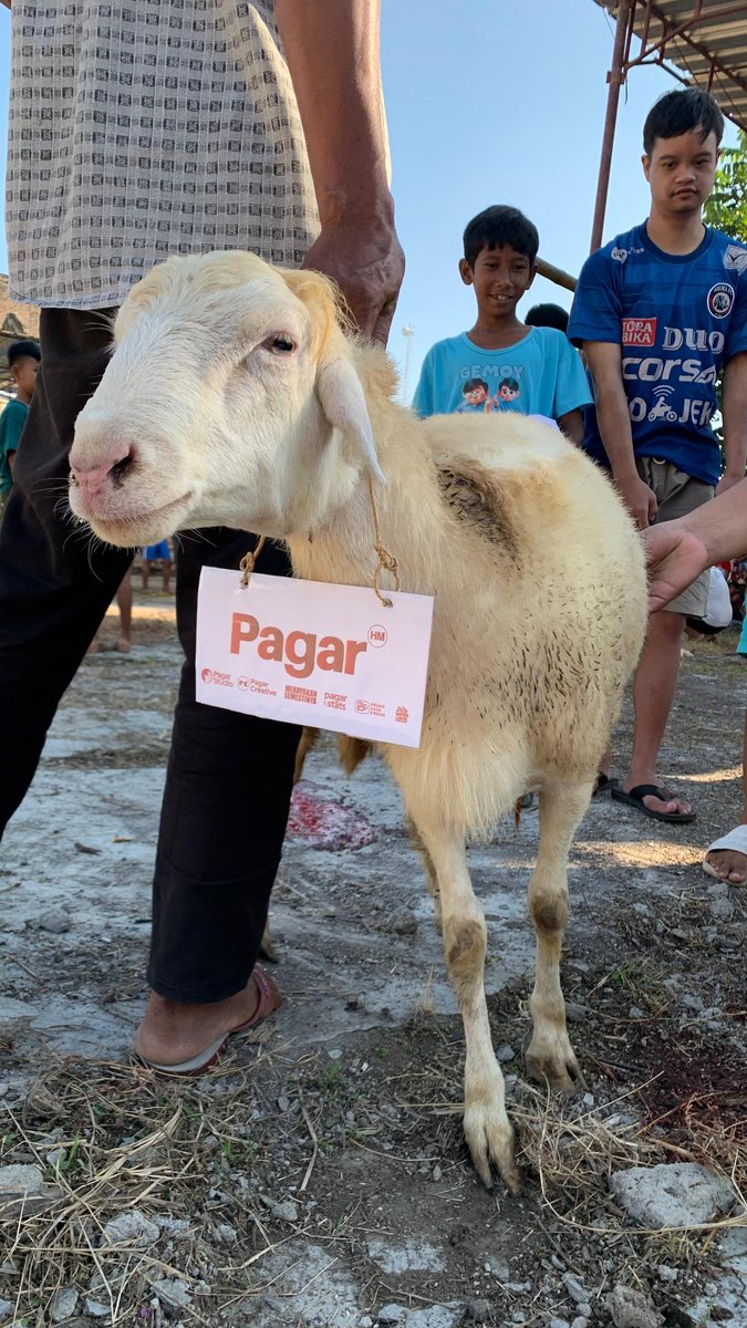 Pagar Hijau Manahan 🍉 tweet media