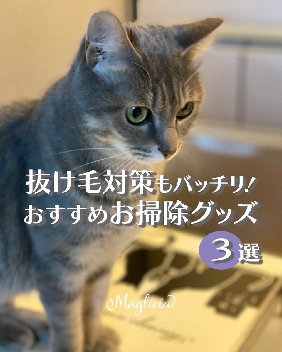 maglicia22's tweet photo. ■抜け毛対策もバッチリ！おすすめお掃除グッズ3選

今回は、猫ちゃんの抜け毛掃除にぴったりの便利グッズをご紹介✨
カーペットやソファーなどに絡みついた毛をスッキリ取り除いて、日々のお掃除をもっと快適に！

Instagramはこちら！
https://t.co/fhhKnuyJSz

#猫好きさんと繋がりたい https://t.co/G7qJ9MQ6Cr