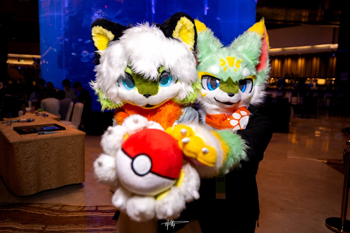 这是我们热血沸腾的组合技！
#FursuitFriday 

📷： <a href="/FOX_MuSheng/">沐晟</a>