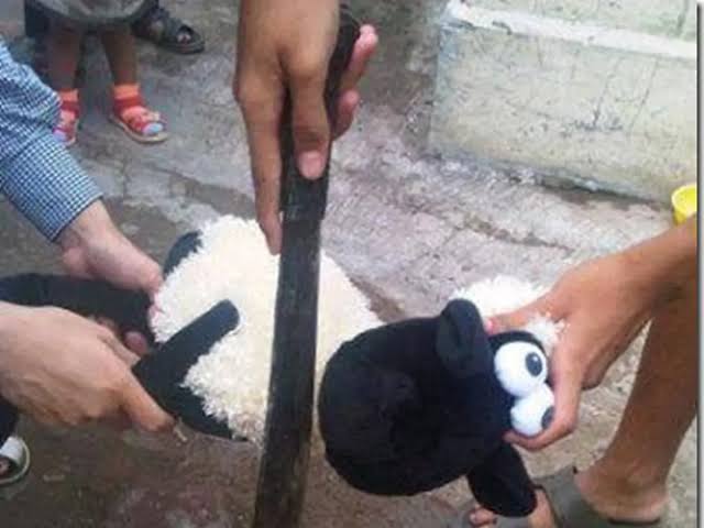 th3willofD's tweet image. Mau liat ini aja cal 👀😆 #CALive