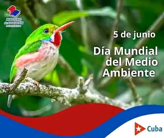 LaydisReynosa's tweet photo. En este #DiaMundialDelMedioAmbiente, salvemos  la Madre Tierra! 🌍🌱 entre todos podemos.
#Cuba
#EnMoaPodemos
#HonorHolguinero https://t.co/5HTYUK1uX4