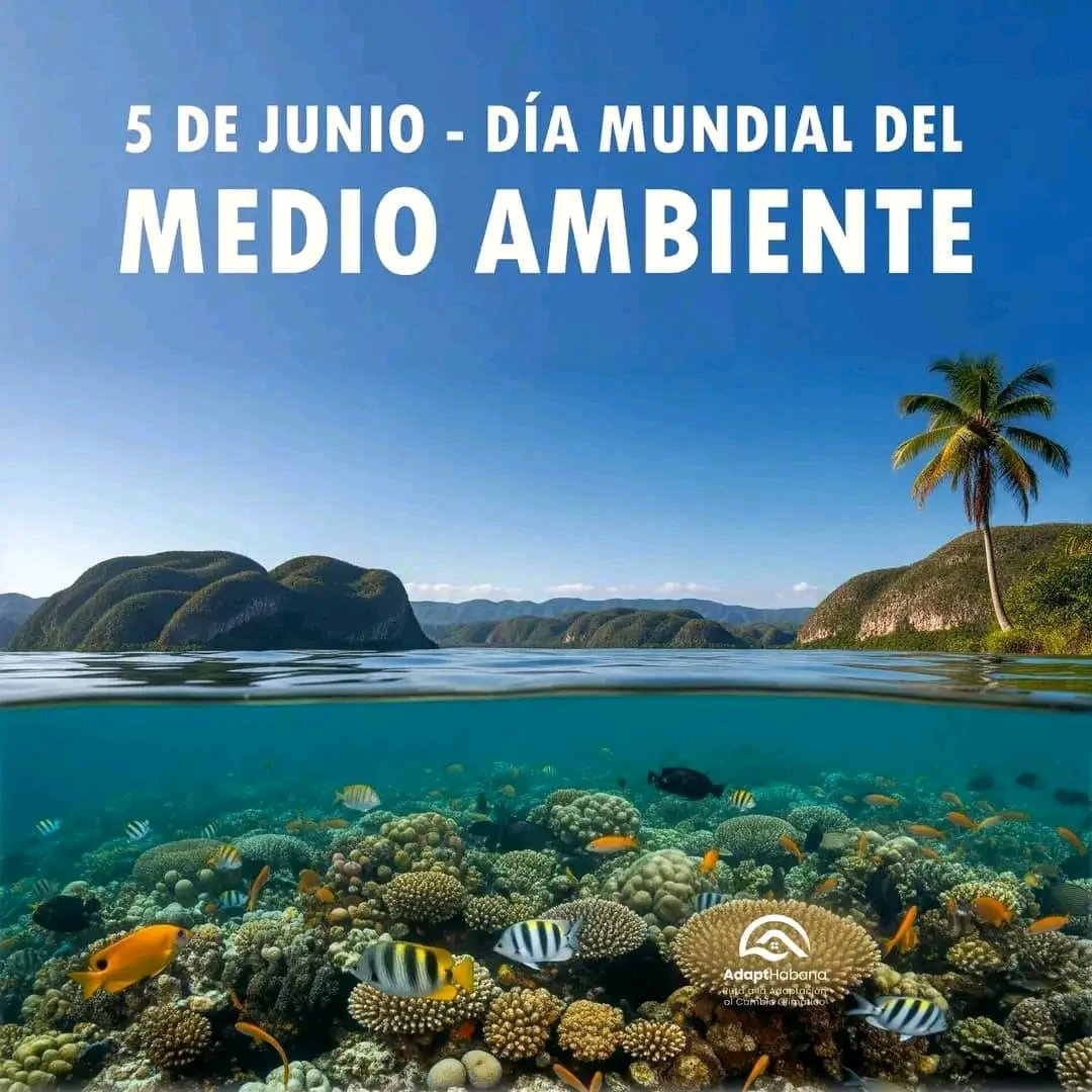 En este #DiaMundialDelMedioAmbiente, salvemos  la Madre Tierra! 🌍🌱 entre todos podemos.
#Cuba
#EnMoaPodemos
#HonorHolguinero