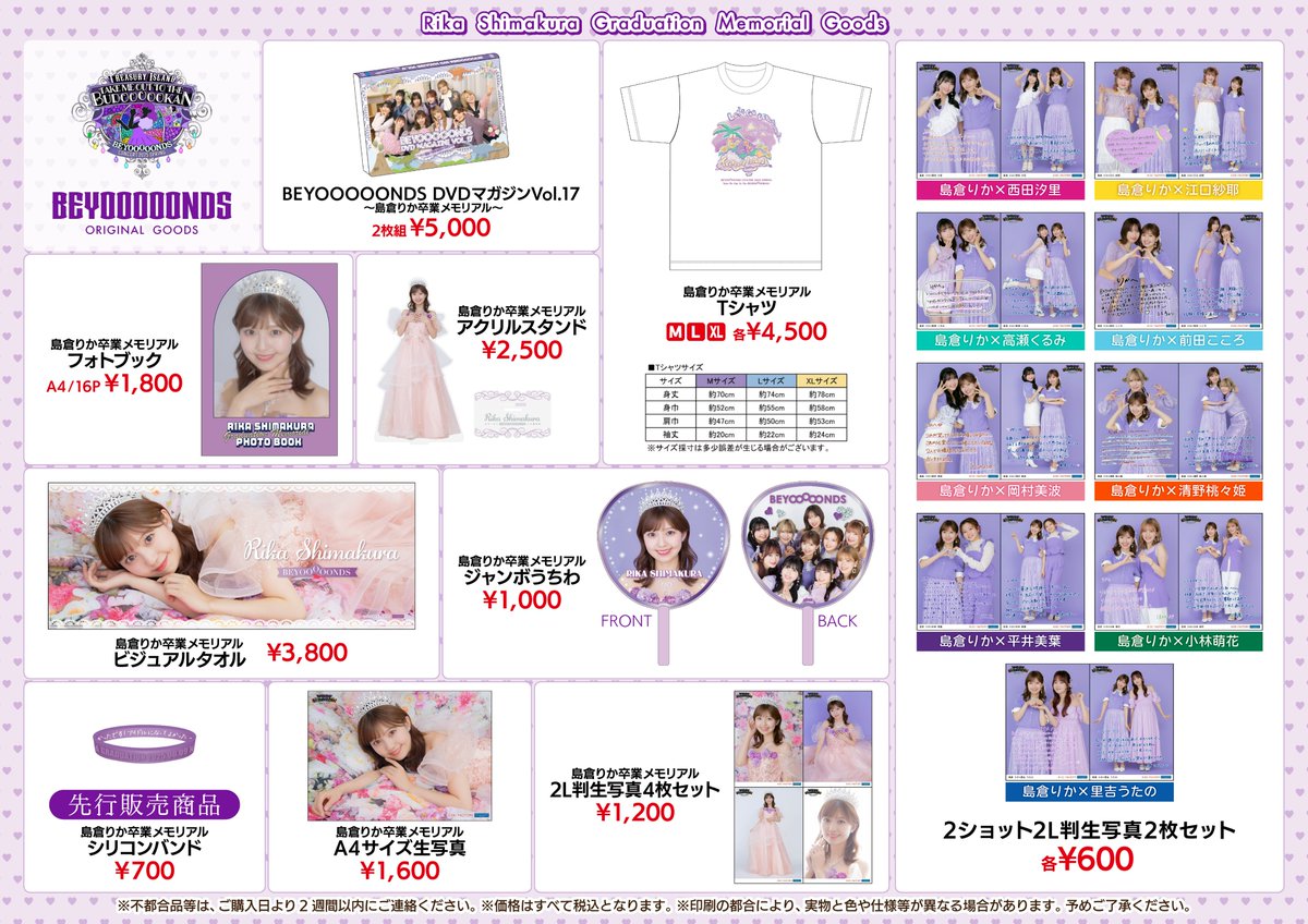 ピンポス BEYOOOOONDS 2025 BUDOOOOOKAN 武道館 卒業 ピンポス BEYOOOOONDS 2025 BUDOOOOOKAN 武道館 卒業 ピンポス