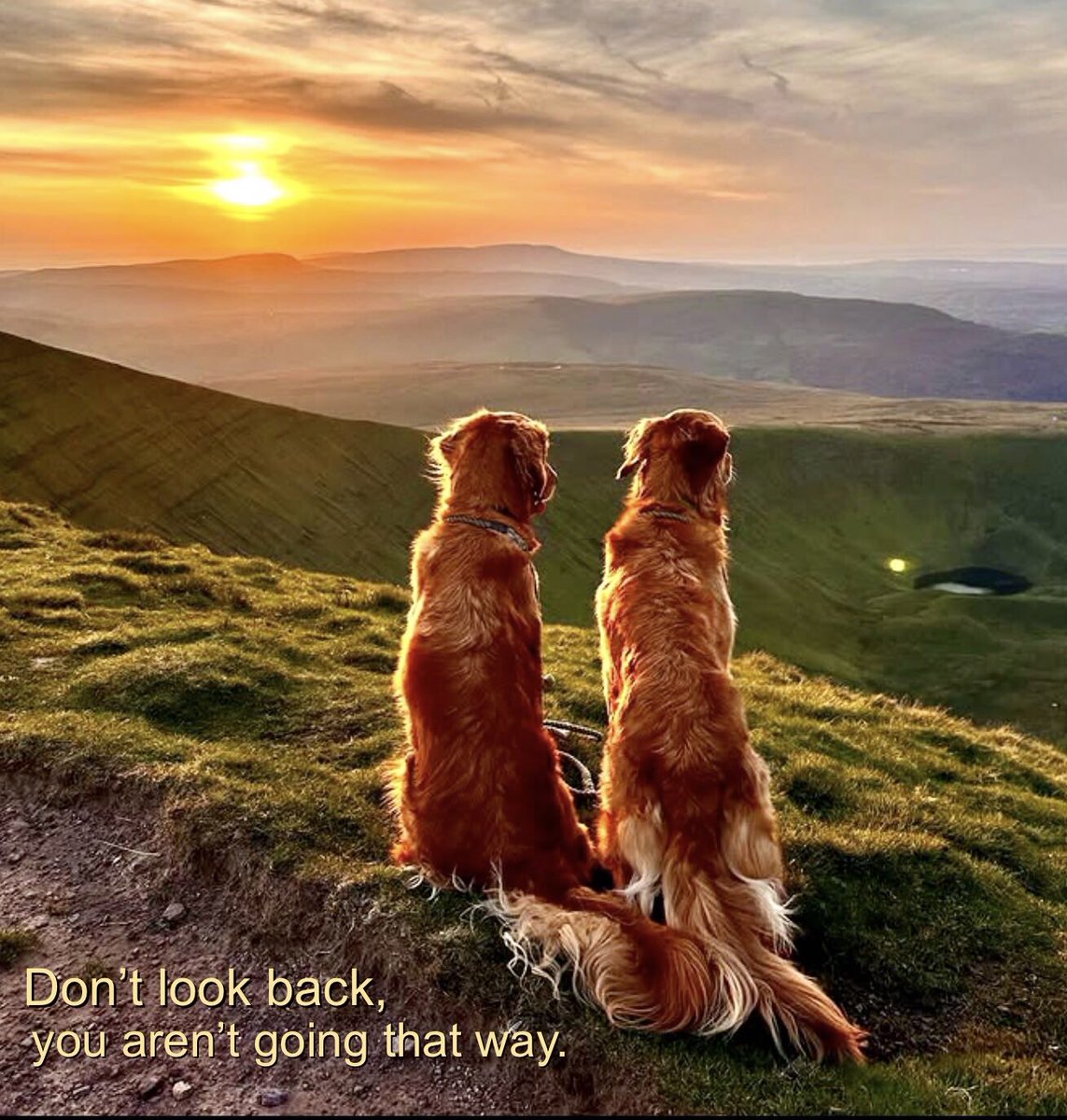 GratitudeSoup (@gratitudesoup) on Twitter photo 