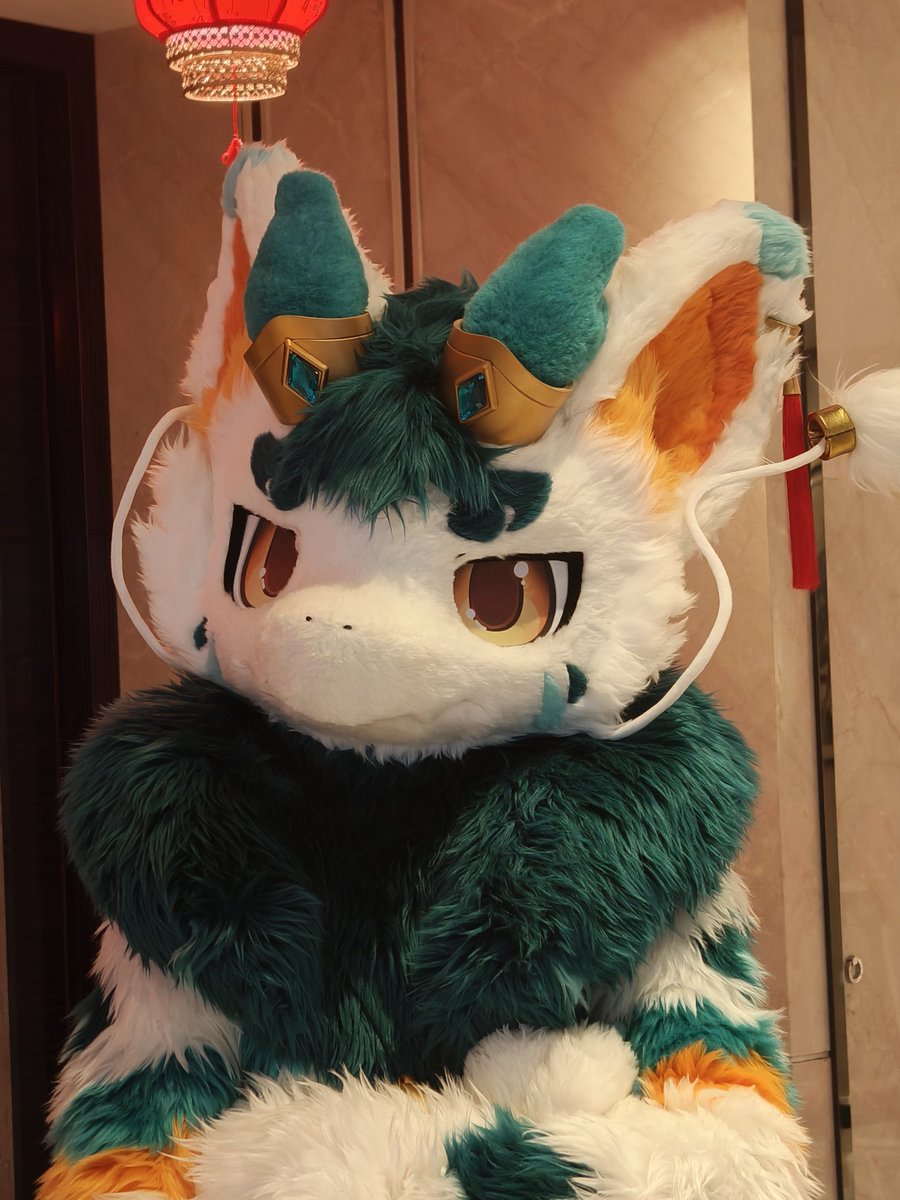我很乖巧
📸 咕咕
#FursuitFriday