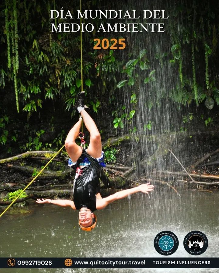 #DiaMundialDelMedioAmbiente